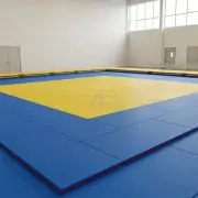 Покриття для борцівської зали