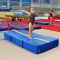 Мат страхувальний 200-100-20 см TIA-SPORT
